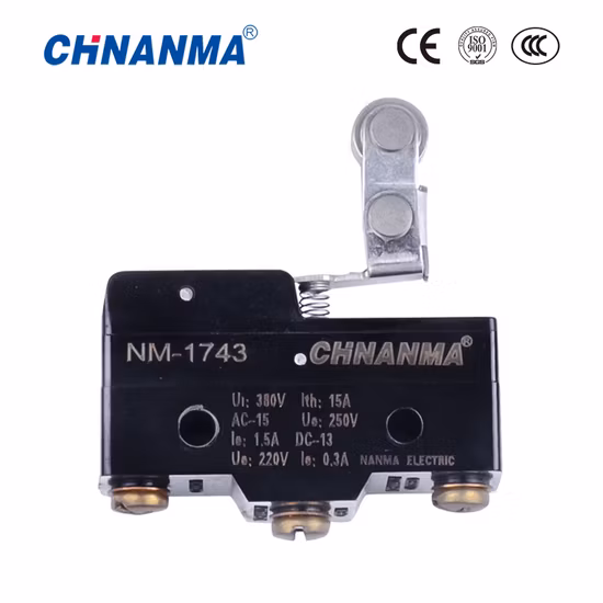 Undirectional Hinge Roller Lever Type Micro Switch