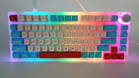 ホットスワップ可能なキーボード RGB バックライト付き PBT キーキャップ フルキー